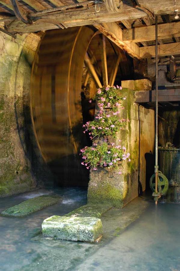 Orges Moulin De La Fleuristerie B&B 외부 사진